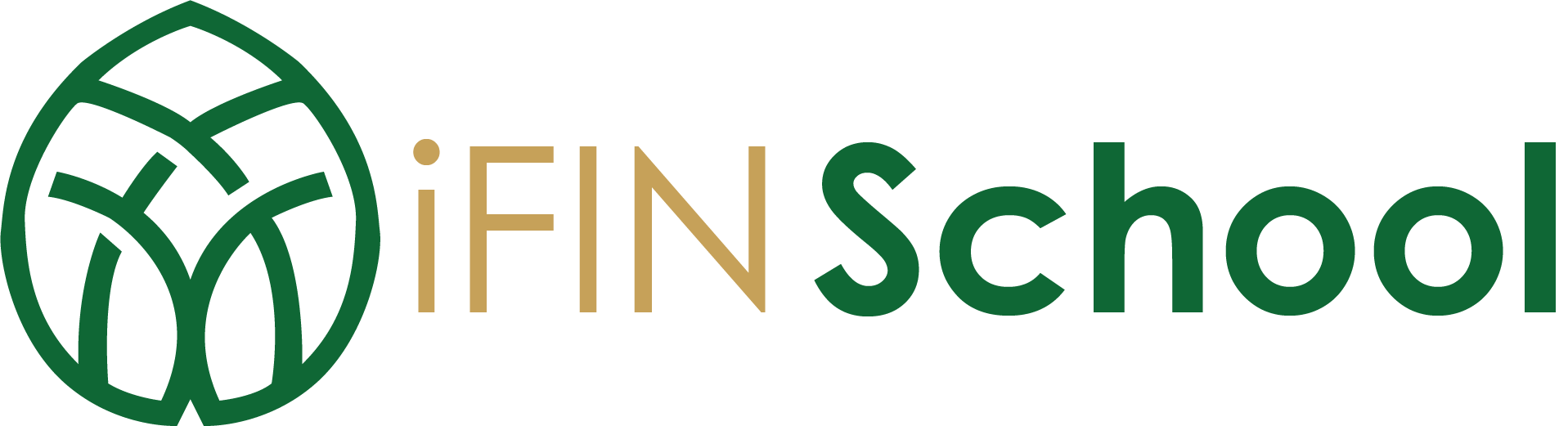 iFIN School Logo